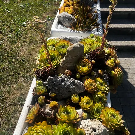 Oaza Mira Apartment Podstrana